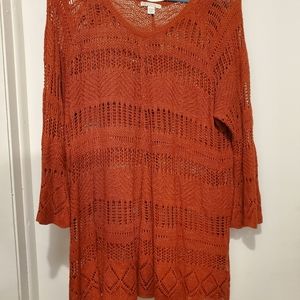 Cato Crochet sweater. Beautiful Rusty Orange. 18/20